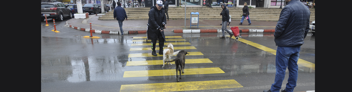 Trafik polisinden insanlık dersi