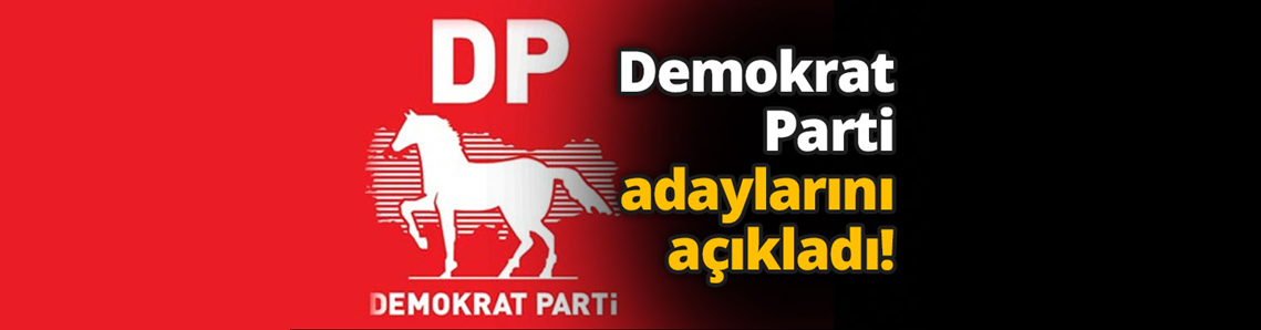 Demokrat Parti Adayı