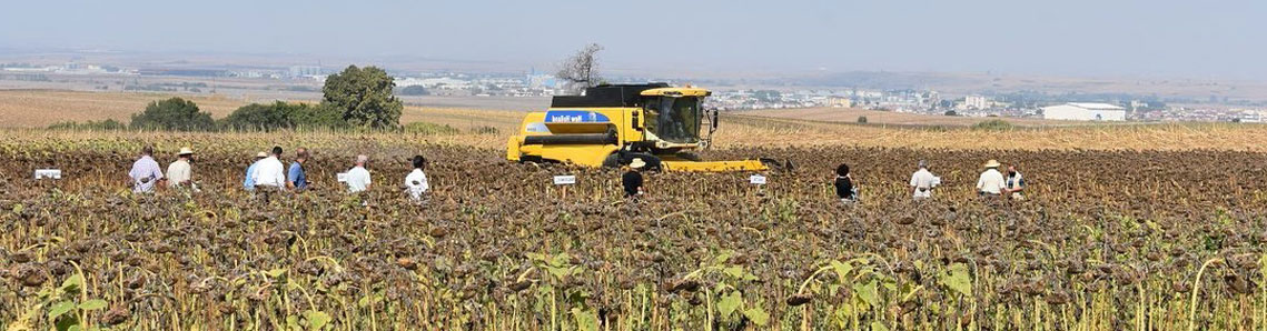 Projede ilk hasat yapıldı