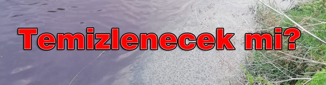 Ergene için Haliç