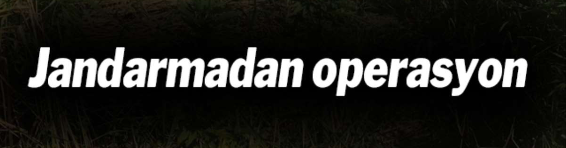 Kökünü kurutma operasyonu: 27 gözaltı