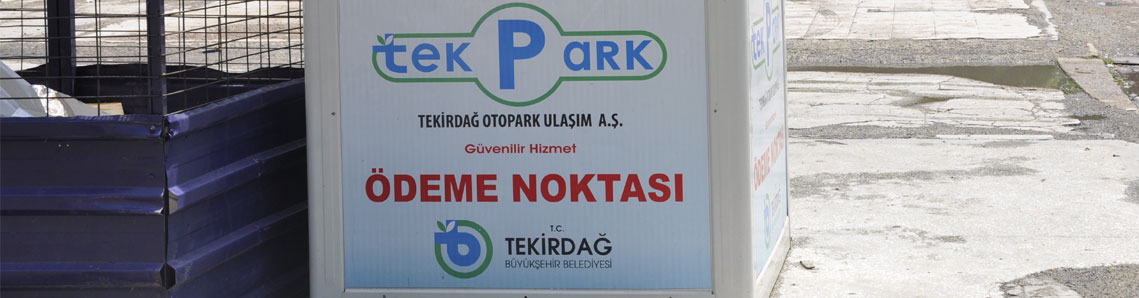 TEK PARK kabusu çöktü