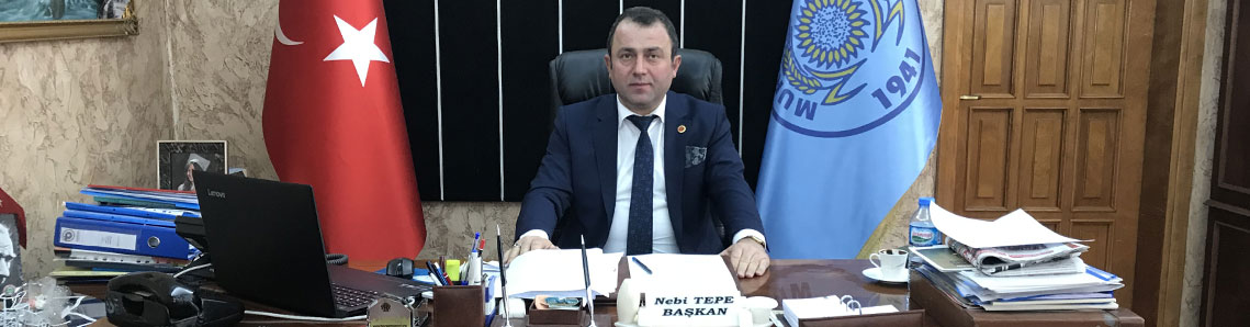 Tamer Yargı