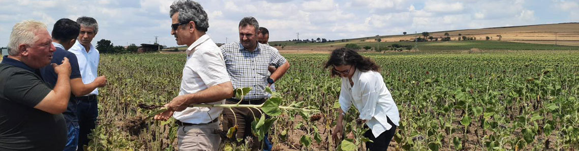 Kuraklık ön tespit çalışmaları sürüyor