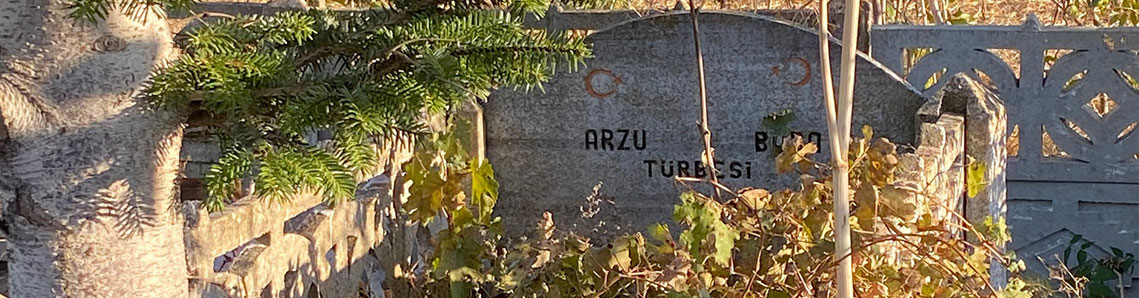 Arzulu Köyü