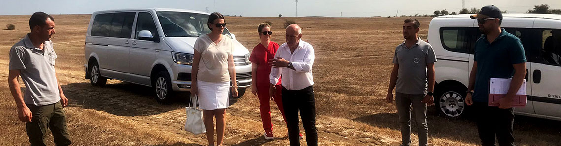 Sokak hayvanlarına doğal yaşam alanı