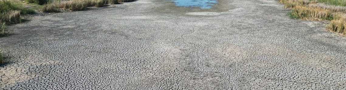 Kırkkepenekli Göleti kuruma noktasına geldi