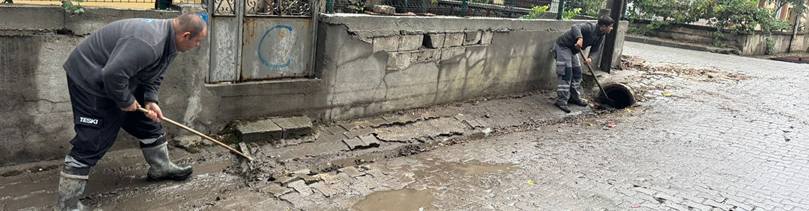 Ekipler sahada: Tek tek temizlendi